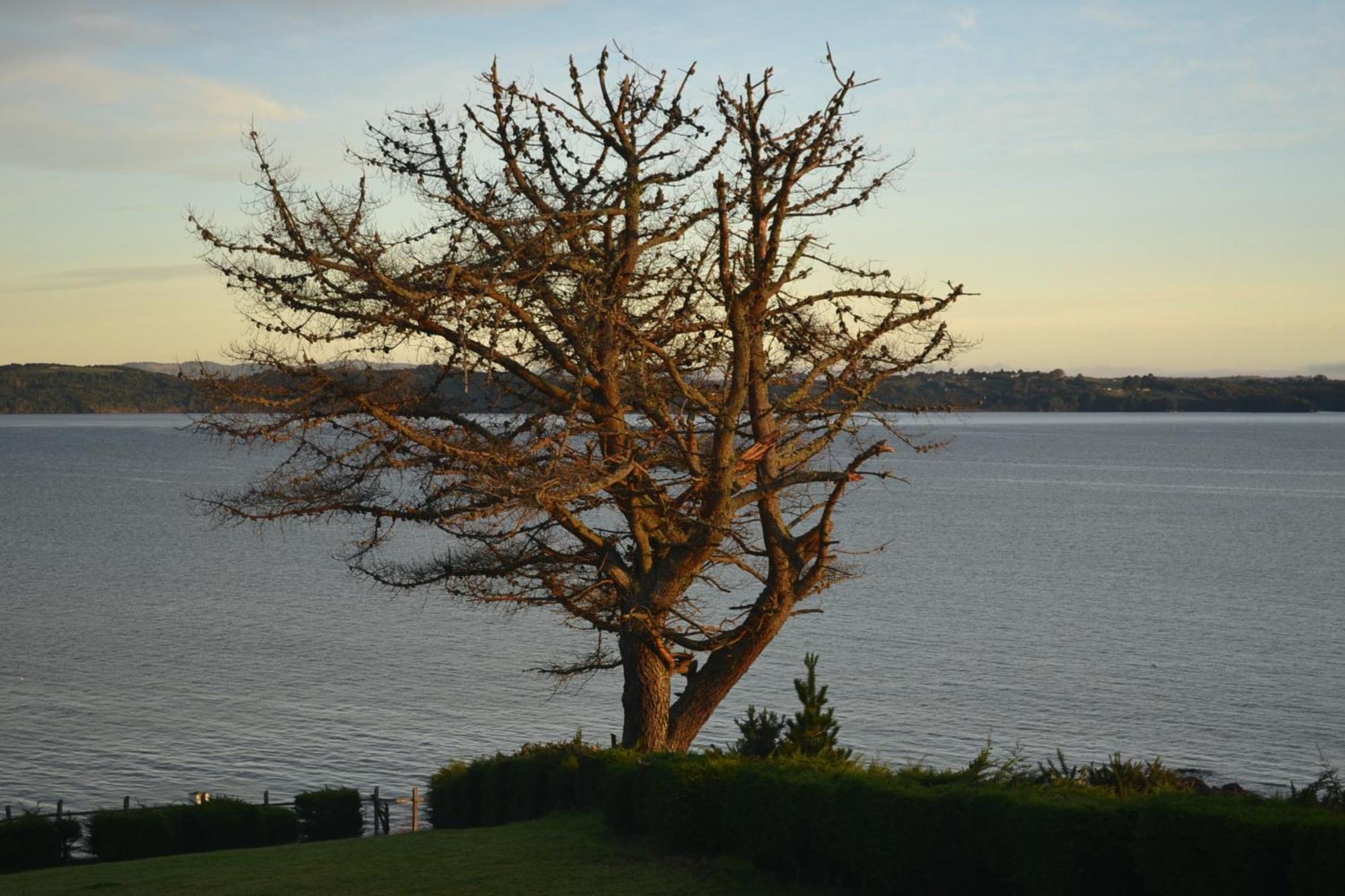 Panamericana Hotel Ancud Kültér fotó